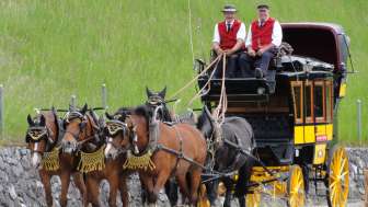 Pferdefahrten Stauffacher