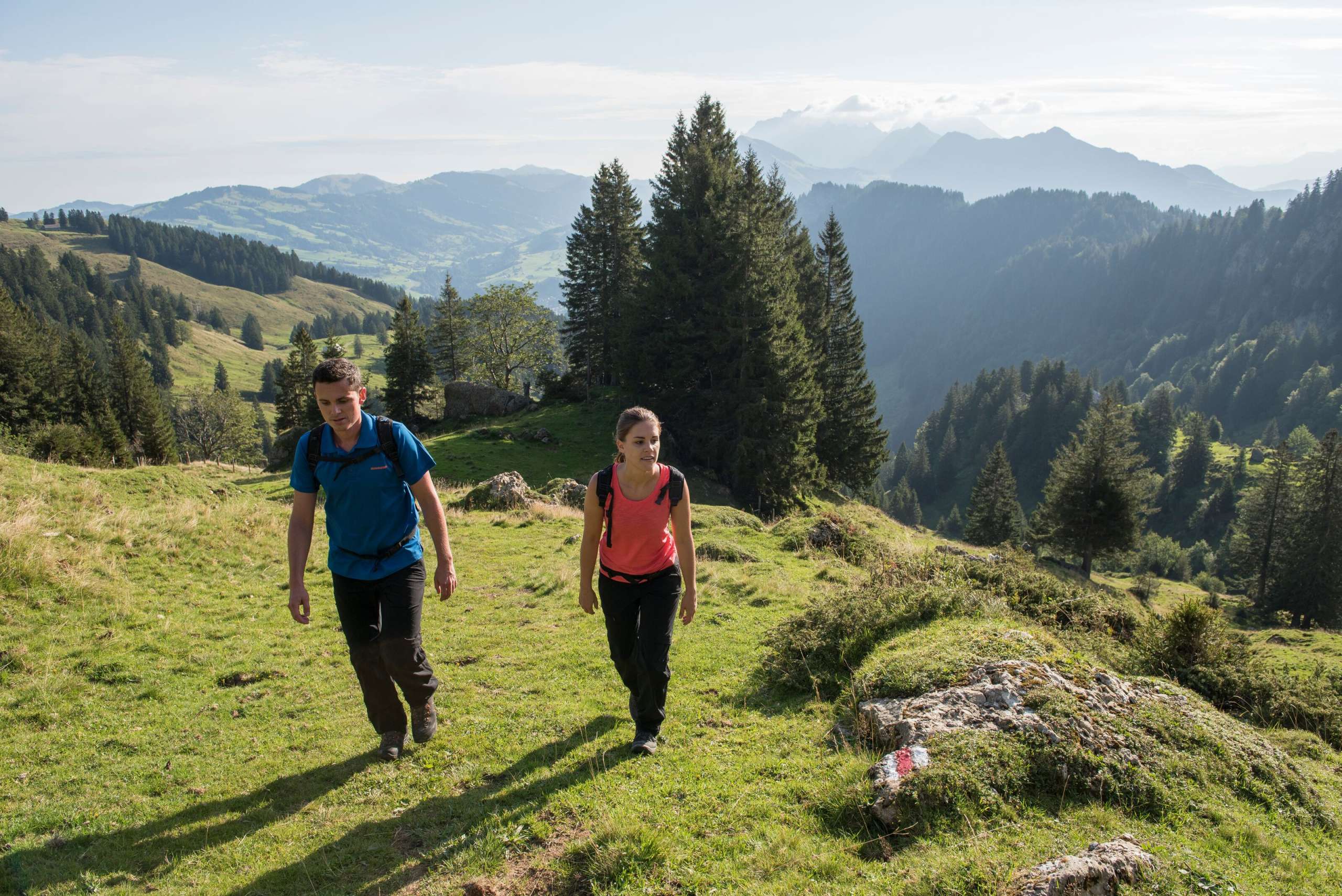 Wanderweg, unbearbeitet 2024, Speer, Toggenburger Höhenweg