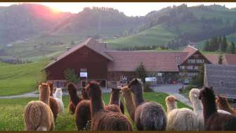 Ferienwohnung Alpaka Hof