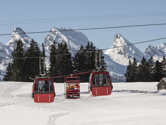 Gondelbahn Wildhaus - Gamplüt