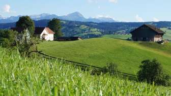 Herberge Aemisegg