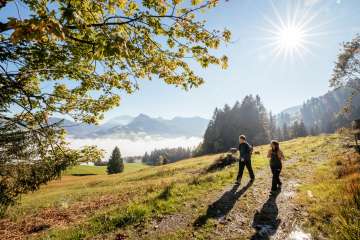 aktivitaet, draussen, herbst, natur, outdoor, sonnig, tag, toggenburg, wald, wandern, wanderweg, weg