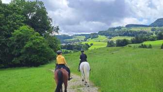 Reitschule für Kinder und Erwachsene / geführte Ausritte im Toggenburg