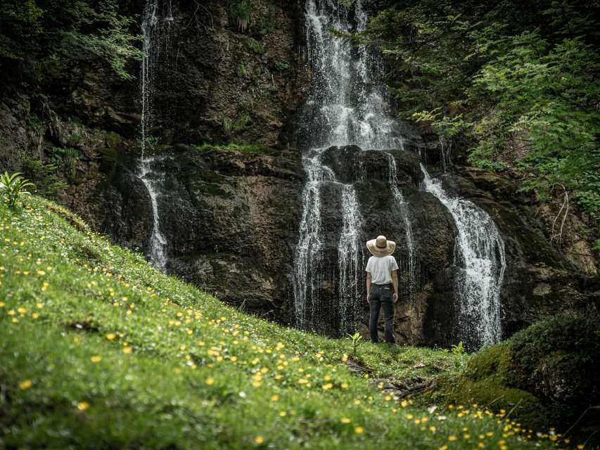 Im Wald, am Wasser, auf dem Fahrrad