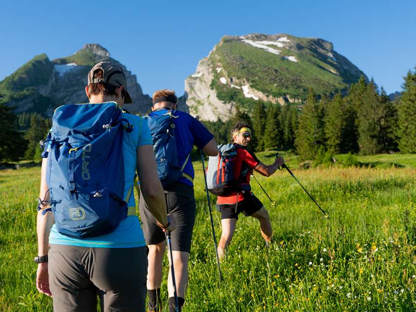 Touren, Führungen und Erlebnisse