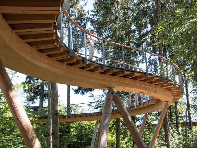 Baumwipfelpfad Neckertal