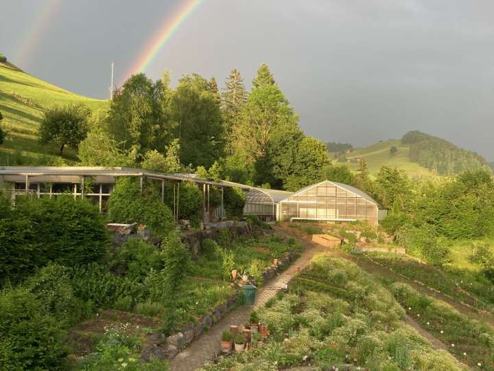 Innere & Äussere Ökologie – was heisst Permakultur?