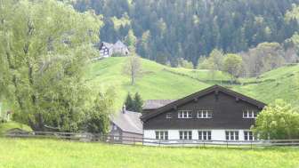Wülflingerhaus