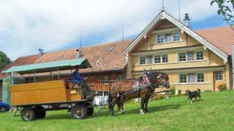 Kutschenfahrten Raschle