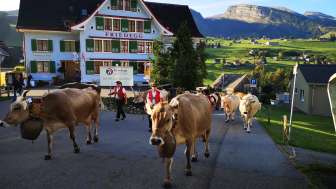 Hotel Friedegg Gasthaus B&B