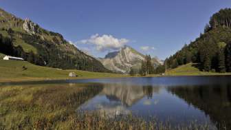 Gräppelensee