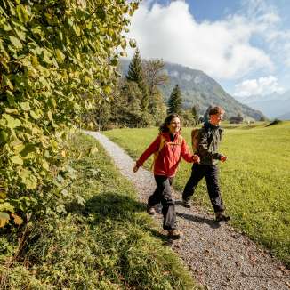 aktivitaet, draussen, herbst, natur, outdoor, sonnig, tag, toggenburg, wald, wandern, wanderweg, weg