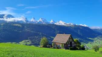Ferien auf dem Bauernhof Halden