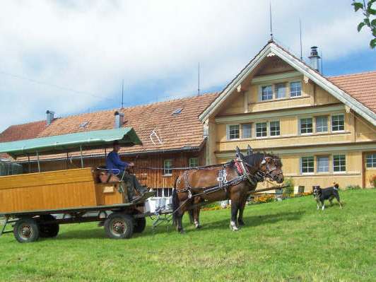 Kutschenfahrten Raschle