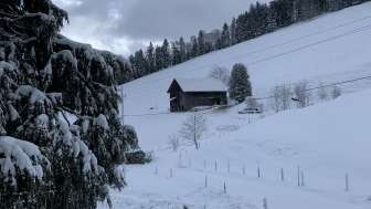 Wirtschaft Rumpf Waldegg