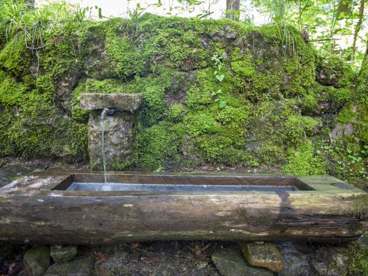 Schwefelquelle Rietbad