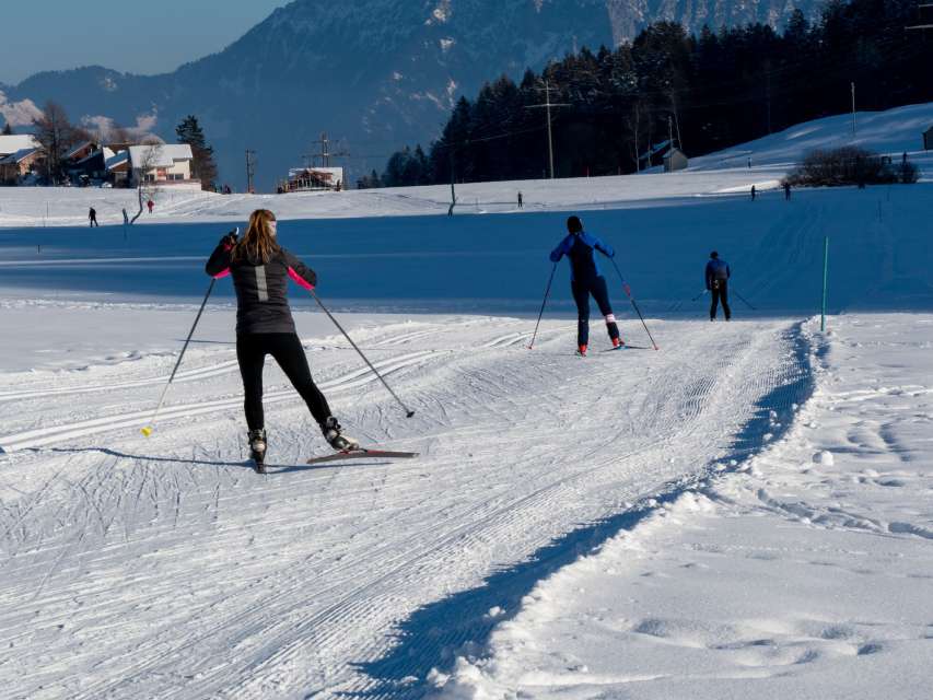 Hundeloipe Munzenriet