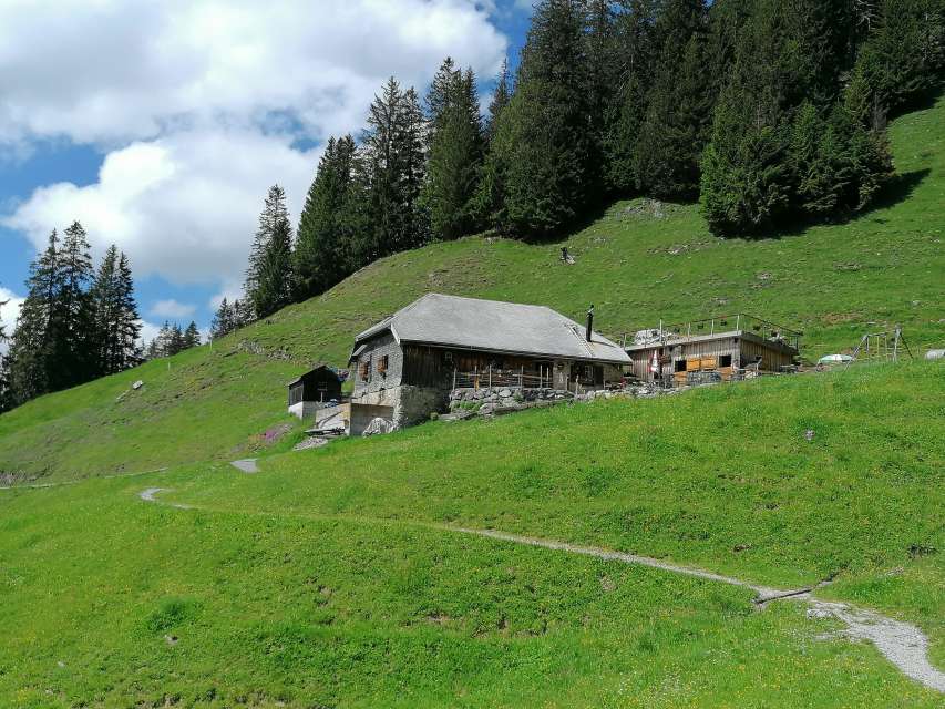 Alpwirtschaft Furgglen