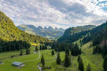 Berge, sonnig, unbearbeitet 2024, Wald, Wiesen