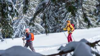 Schneeschuh, sonnig, unbearbeitet 2024, Wald