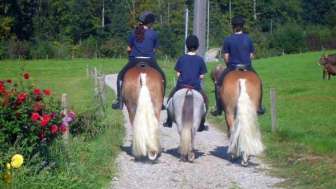 Reiten in Mogelsberg