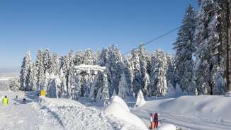 Verschneiter Skilift auf der Wolzenalp bei strahlendem Sonnenschein