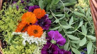 Toggenburger Kräuterfrauen