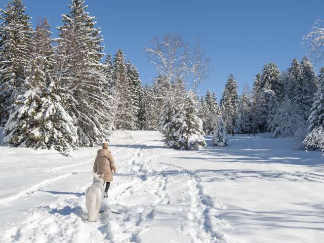Winterwandern & Schneeschuhlaufen