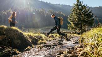 aktivitaet, draussen, herbst, natur, outdoor, sonnig, tag, toggenburg, wald, wandern, wanderweg, weg