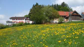 Restaurant-Käserei Berghof