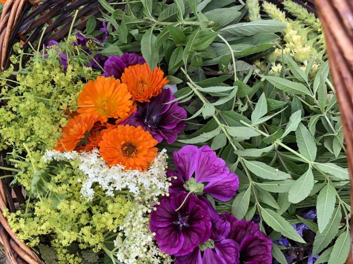 Toggenburger Kräuterfrauen