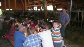 Besichtigung Milchvieh-Laufstall Sedelegg