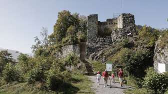 Ruine Wildenburg