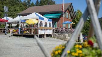 Alpwirtschaft Rittmarren