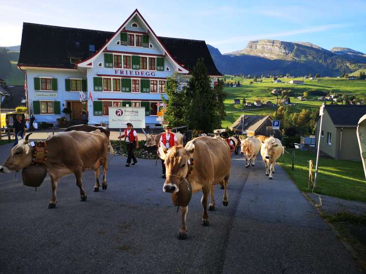 Hotel Friedegg Gasthaus B&B