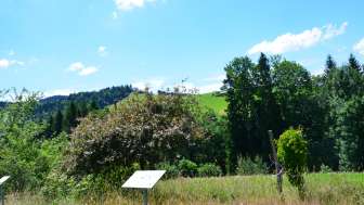 Obstgarten Hemberg