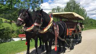 Kutschenfahrten Müller