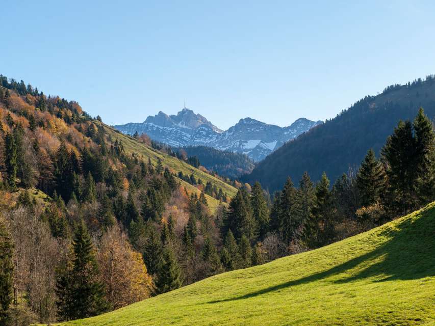 Neckertaler Höhenweg