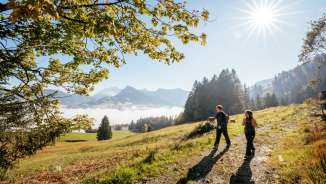 aktivitaet, draussen, herbst, natur, outdoor, sonnig, tag, toggenburg, wald, wandern, wanderweg, weg