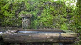 Schwefelquelle Rietbad