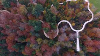 Natürliche und Kulinarische Höhenflüge