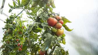 Selbergmachts vom Hof