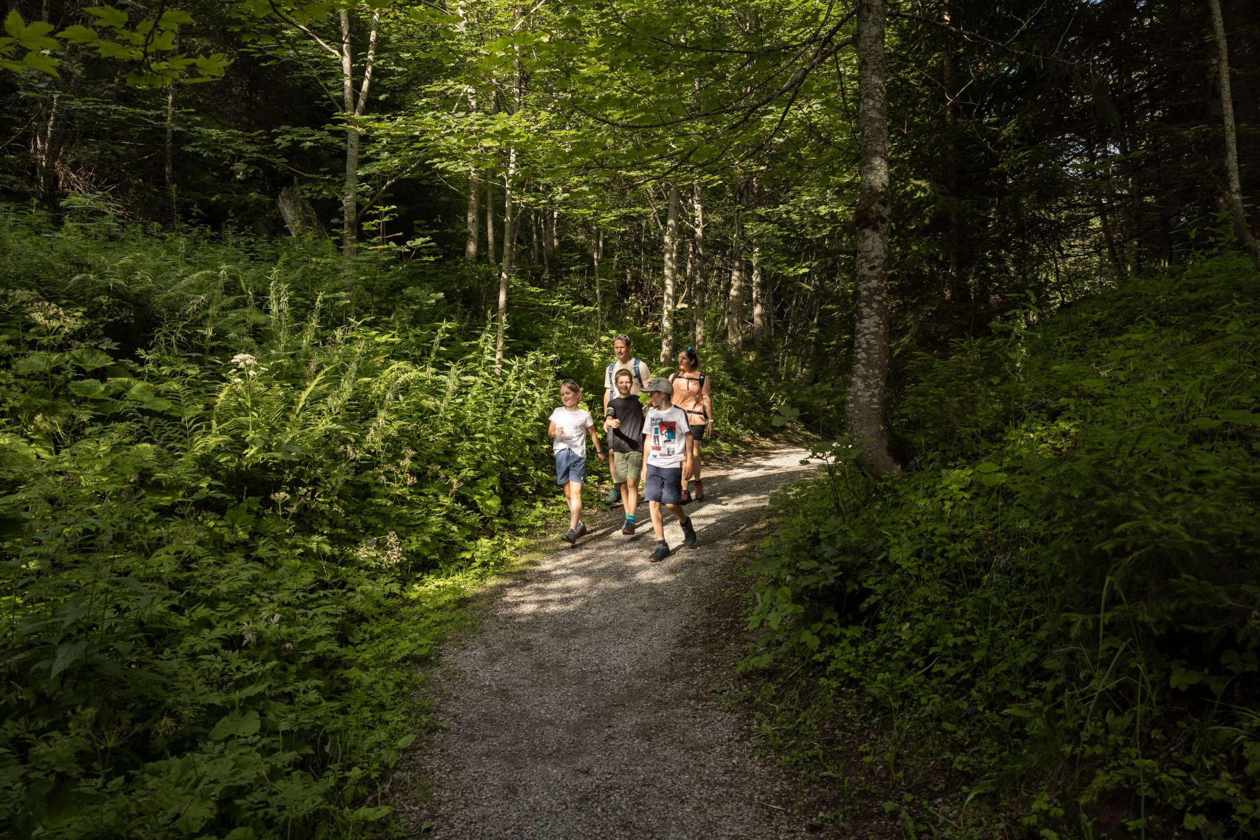 Tag, sonnig, klang, unbearbeitet 2024, wandern, sommer, Toggenburg, klangwelt, klangweg, Familie, outdoor, Aktivität, natur