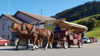 Kutschenfahrten Fässler