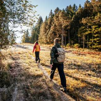 aktivitaet, draussen, herbst, natur, outdoor, sonnig, tag, toggenburg, wald, wandern, wanderweg, weg