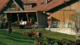 Biohof Uttenwil