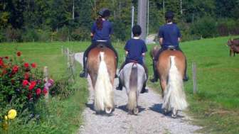Reiten in Mogelsberg