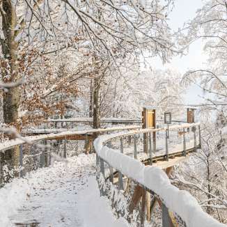 Winterlicher Baumwipfelpfad in verschneitem Wald mit hölzerner Panorama-Plattform