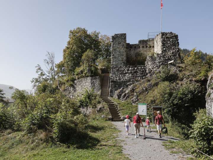Ruine Wildenburg