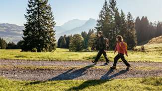 aktivitaet, draussen, herbst, natur, outdoor, sonnig, tag, toggenburg, wald, wandern, wanderweg, weg